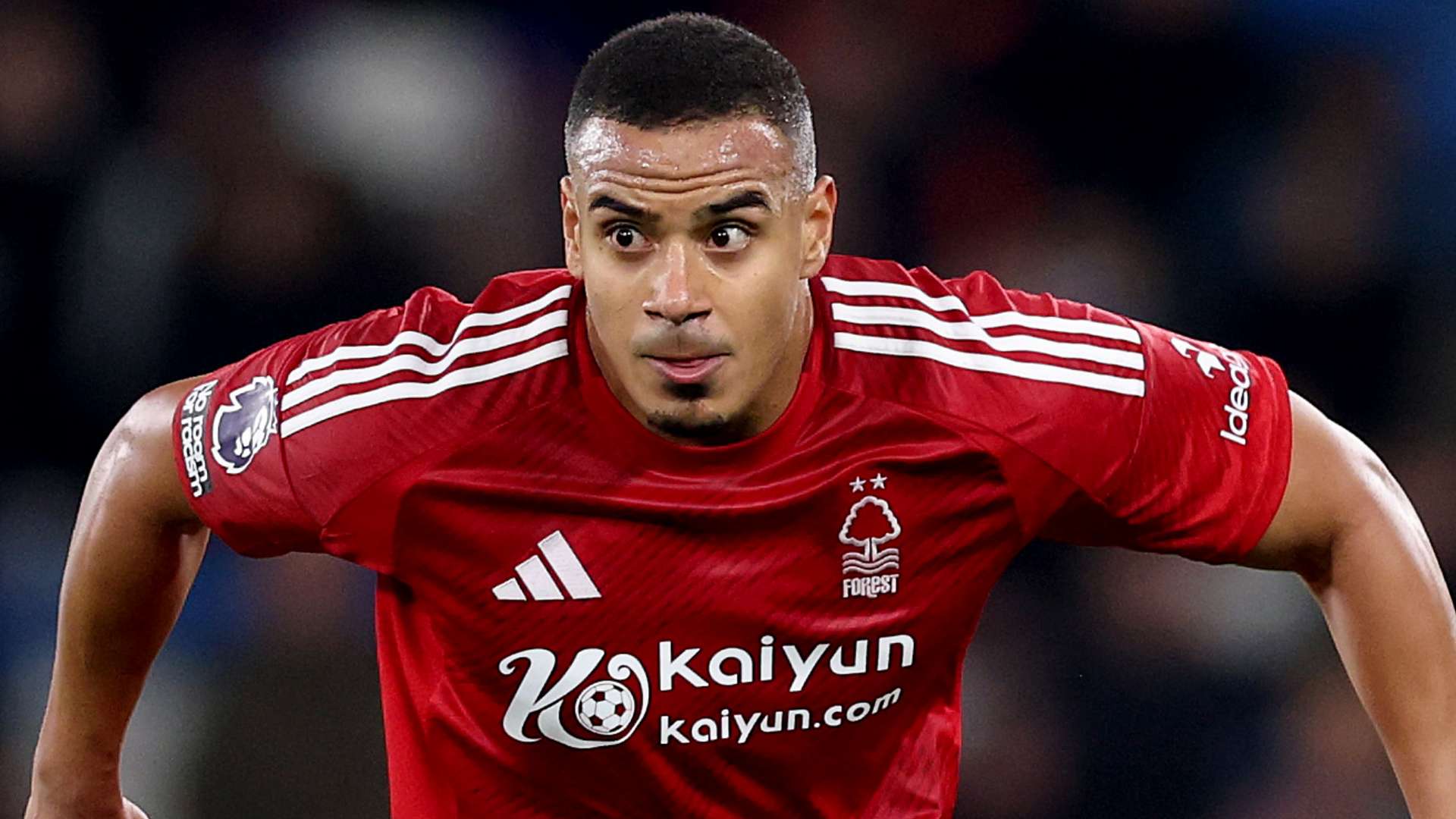 奇背后的故 奇背后的故